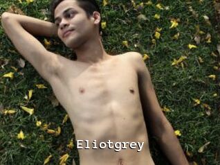Eliotgrey