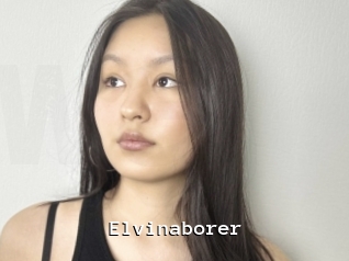 Elvinaborer