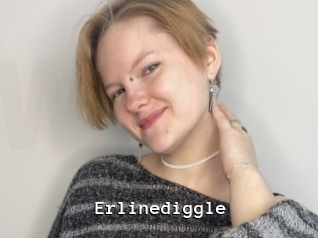 Erlinediggle