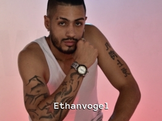 ethanvogel Webcamsex Amateur