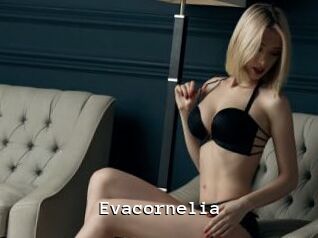 Evacornelia