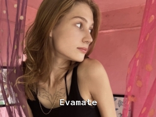 Evamate