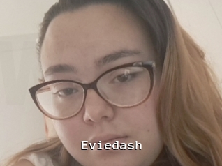 Eviedash