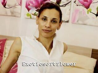 Exoticsoftflower