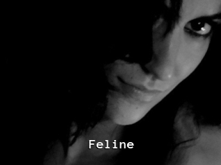 Feline Webcamsex Amateur
