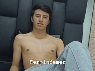 Fermindamer