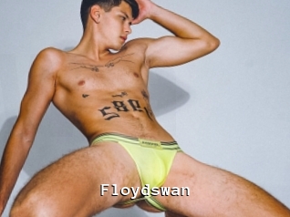 Floydswan