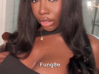 Fung8e