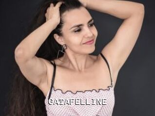 GATAFELLINE