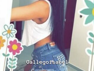 Gallegoisabel