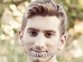 GayBoy55