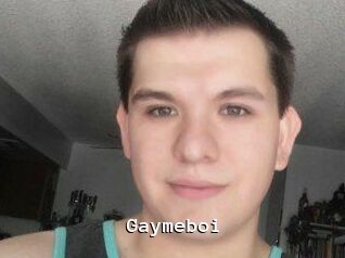 Gaymeboi