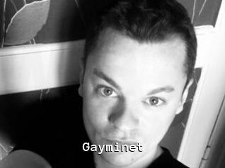 Gayminet