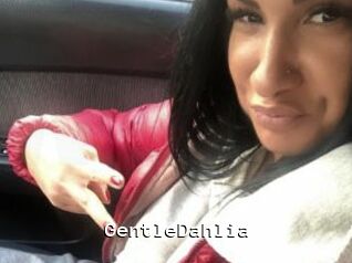 GentleDahlia