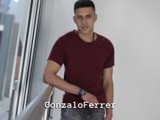 GonzaloFerrer