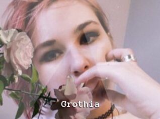 Grothia