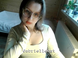 Gabriellecat