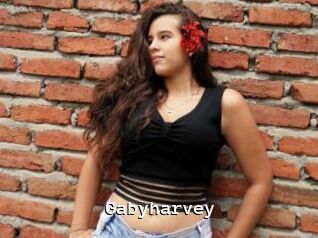 Gabyharvey