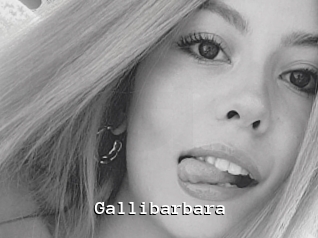 Gallibarbara