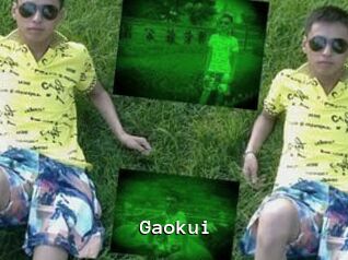 Gaokui