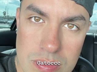 Gatoccc