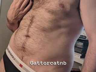Gattorcatnb