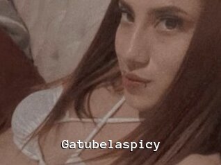 Gatubelaspicy