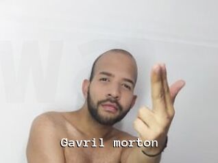 Gavril_morton