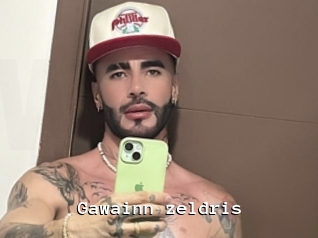 Gawainn_zeldris