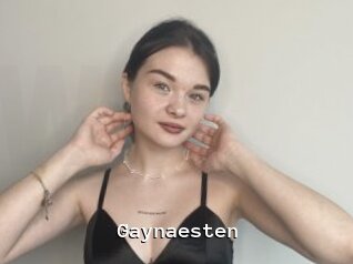 Gaynaesten