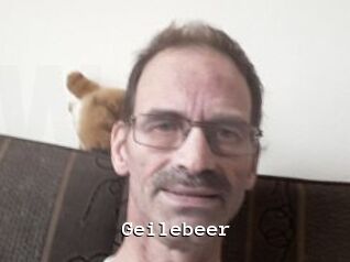 Geilebeer