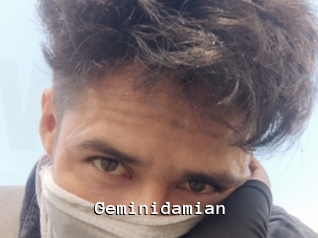 Geminidamian