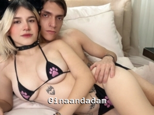 Ginaandadam