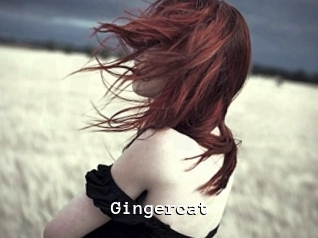 Gingercat