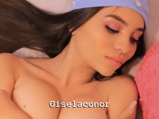 Giselaconor
