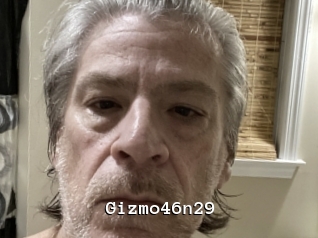 Gizmo46n29