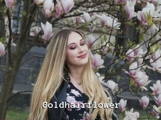 Goldhairflower