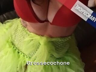 Grossecochone