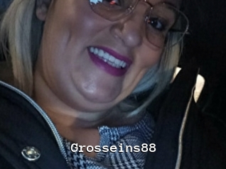 Grosseins88