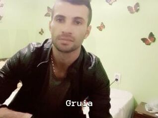 Gruia