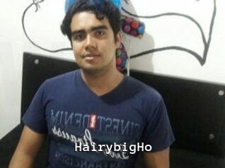 HairybigHo