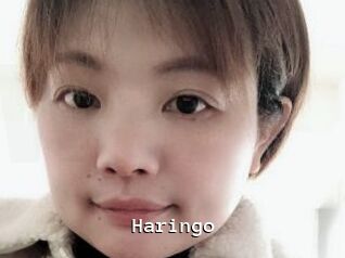 Haringo