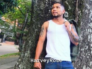 HarveyRose