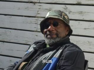 Hum