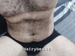 Hairybear18