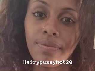 Hairypussyhot20