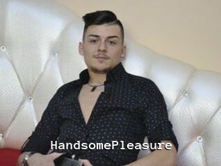 HandsomePleasure