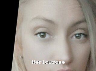 Harlowrose