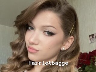 Harrietbagge