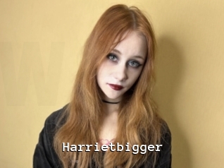 Harrietbigger
